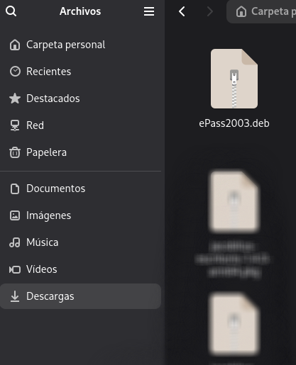 Inicialización del validador de servicios de fondo