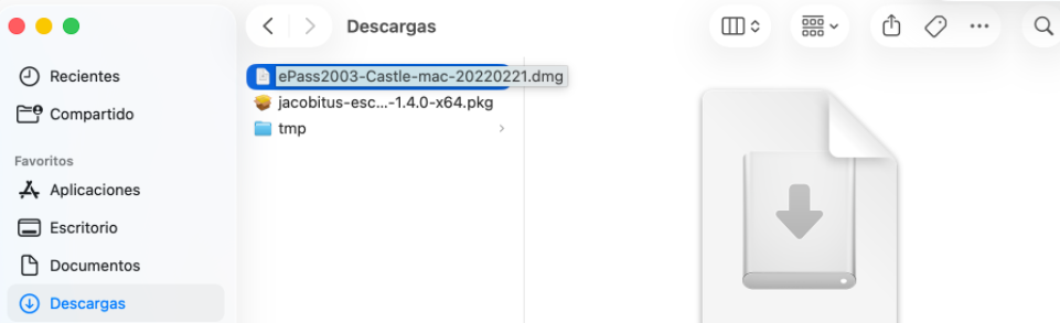 Inicialización del validador de servicios de fondo