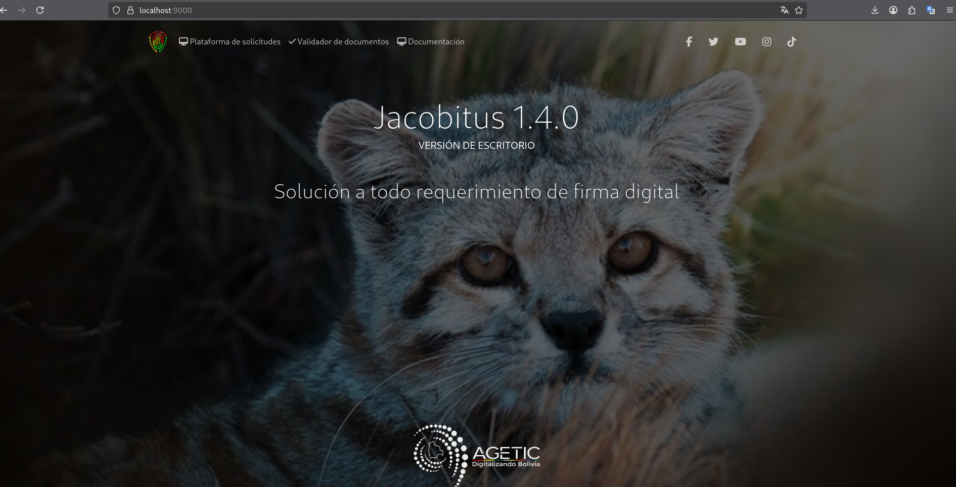 Verificación del JSON de respuesta local